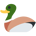 What The Duck!