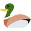 What The Duck!